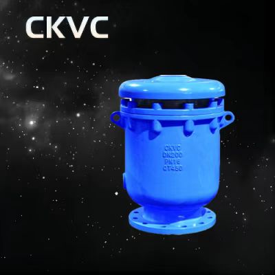 CARX 复合式排气阀